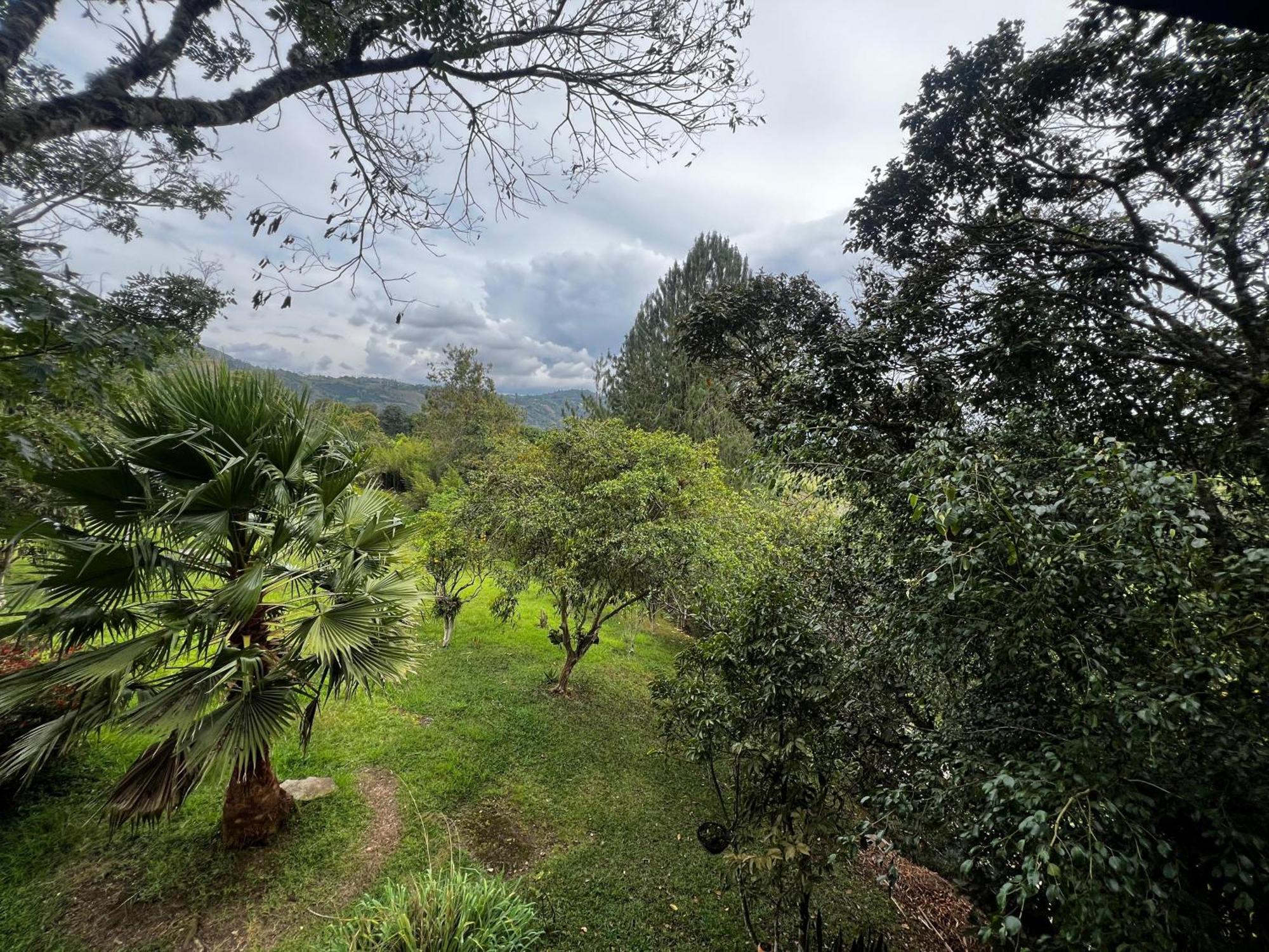 Finca El Cielo San Agustín المظهر الخارجي الصورة