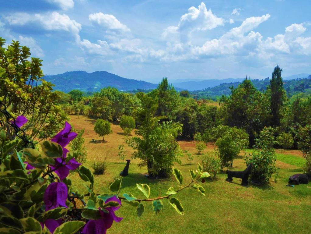 Finca El Cielo San Agustín المظهر الخارجي الصورة