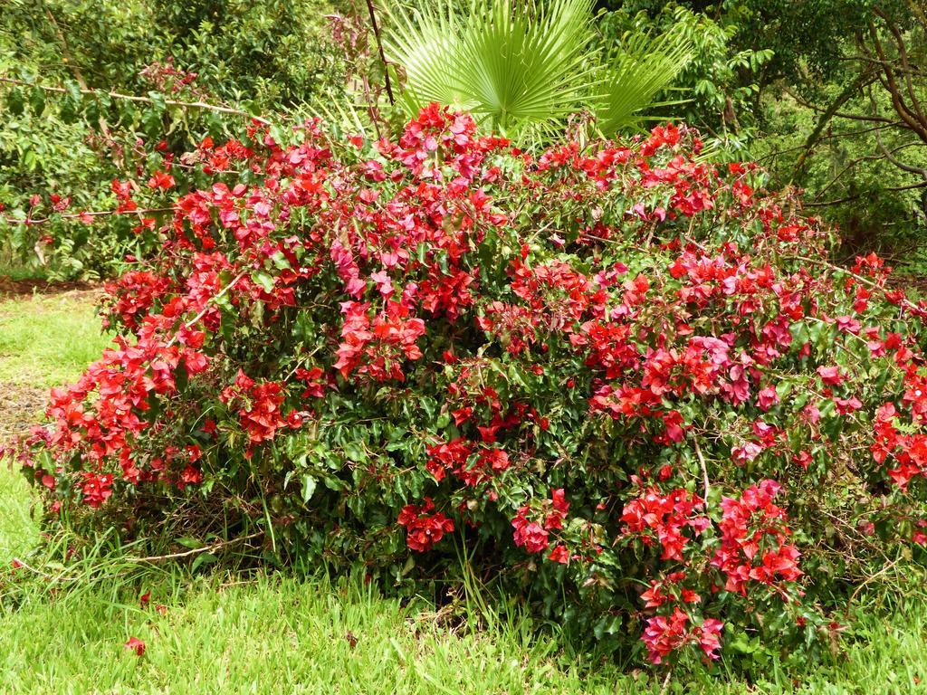 Finca El Cielo San Agustín المظهر الخارجي الصورة