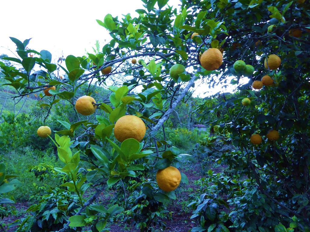 Finca El Cielo San Agustín المظهر الخارجي الصورة